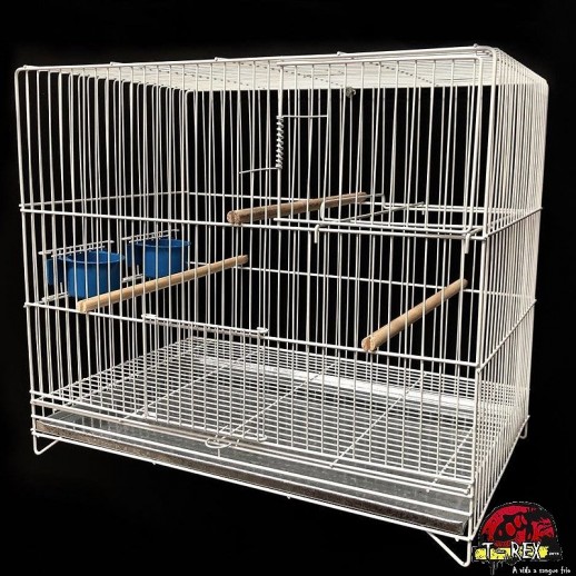 comprar criadeira para aves