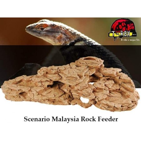 Cenário Malaysia Rock | Terrário | Pogona | Gecko