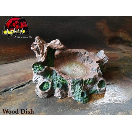 Wood Dish Répteis  | Iguana | Dragão | Gecko