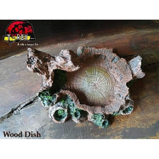 Wood Dish Répteis  | Iguana | Dragão | Gecko