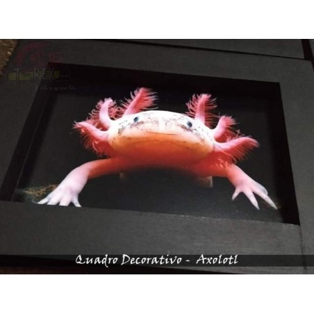 Quadro Herpetofauna