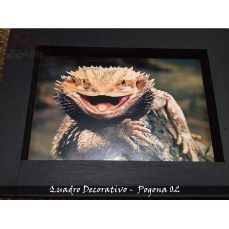 Quadro Herpetofauna