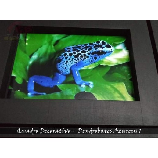 Quadro Herpetofauna