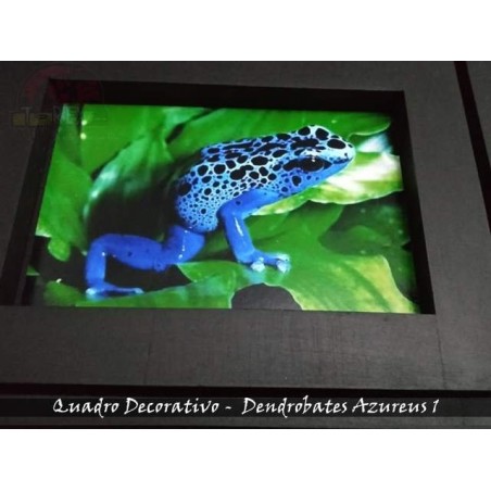 Quadro Herpetofauna