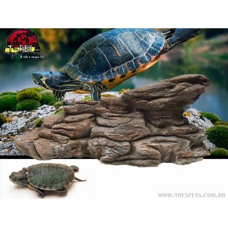 Plataforma de tartaruga