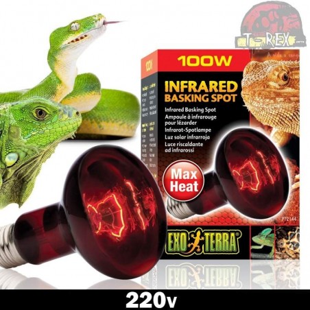 Lampada para aquecimento terrario