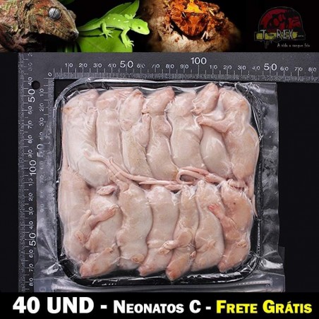 lactante alimento vivo cobras