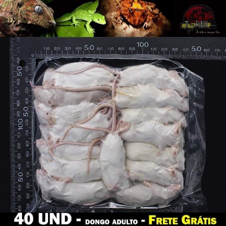 camundongo para cobras corn snake