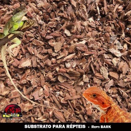 substrato para répteis jabuti e iguana