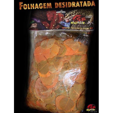Folhagem Desidratada 