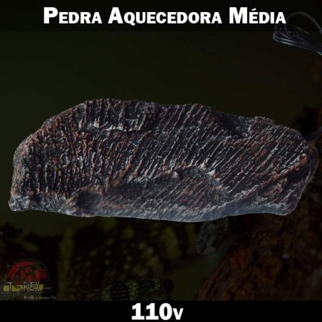 Pedra Aquecedora Répteis