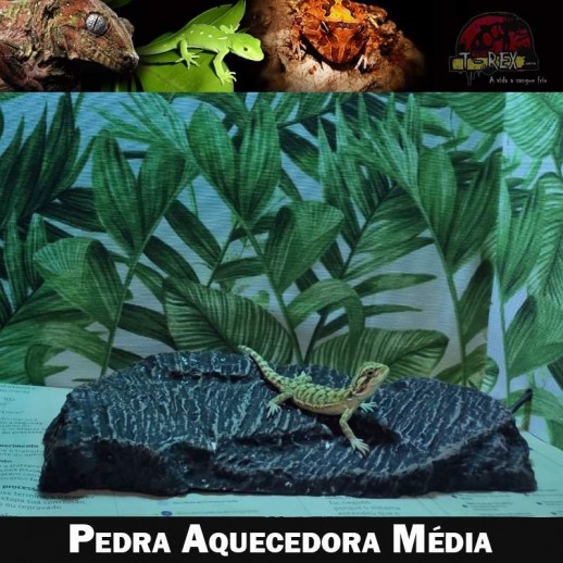pedra aquecida para répteis