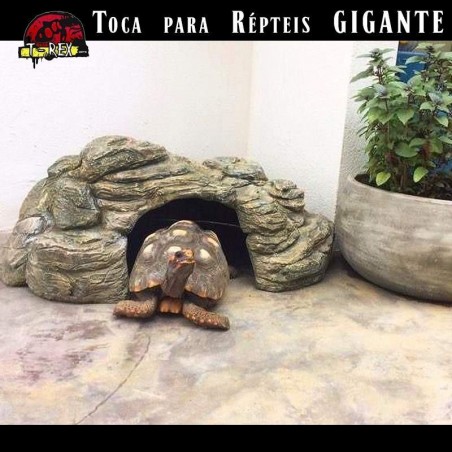 casinha para jabuti