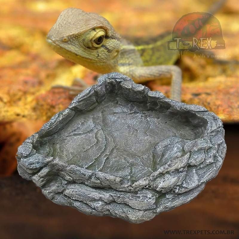Bebedouro para Iguana