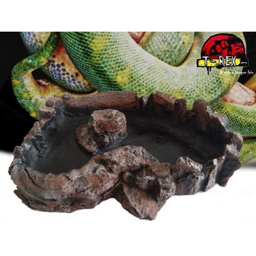 Boulder Corner Water Dish XL Répteis | Iguana