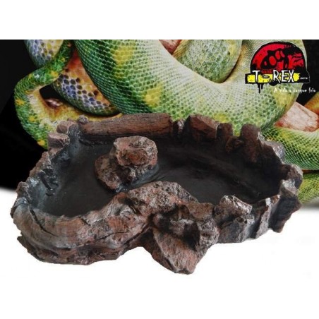 Boulder Corner Water Dish XL Répteis | Iguana
