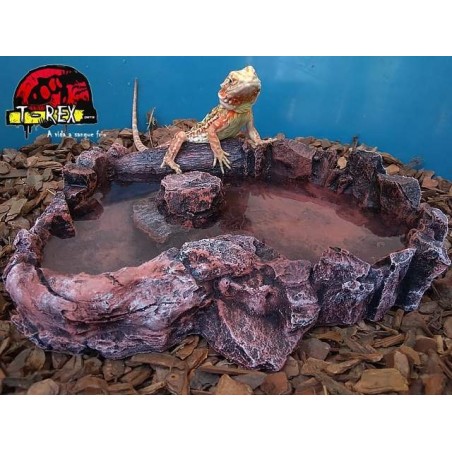 Boulder Corner Water Dish XL Répteis | Iguana