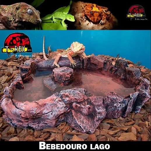 Bebedouro para Répteis