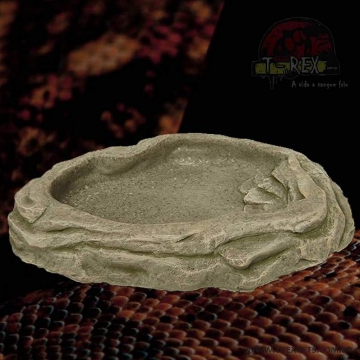 Bebedouro Lago para Pogona
