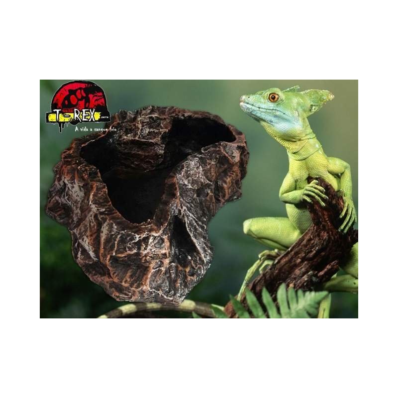 Repti Dish Grande Répteis | Iguana | Pogona | Jabuti