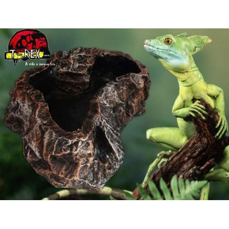 Repti Dish Grande Répteis | Iguana | Pogona | Jabuti
