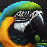 Aves