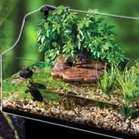 Plantas e Aquários para Tartarugas